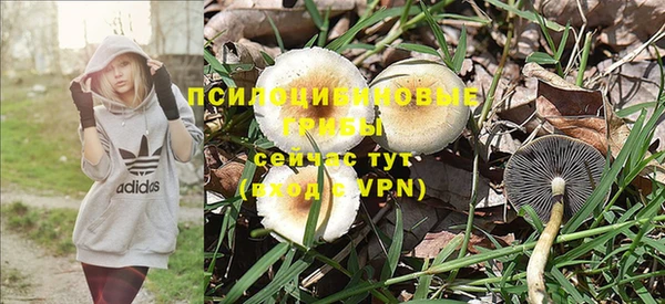 тгк Лабытнанги