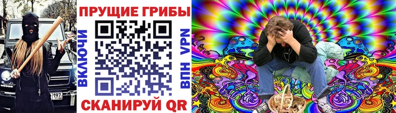 Псилоцибиновые грибы мицелий  Беслан 