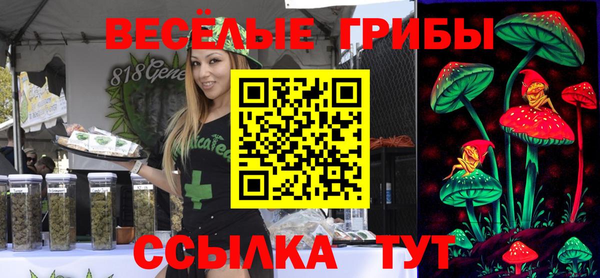 Псилоцибиновые грибы Magic Shrooms  Галлюциногенные грибы Psilocybine cubensis  Беслан 