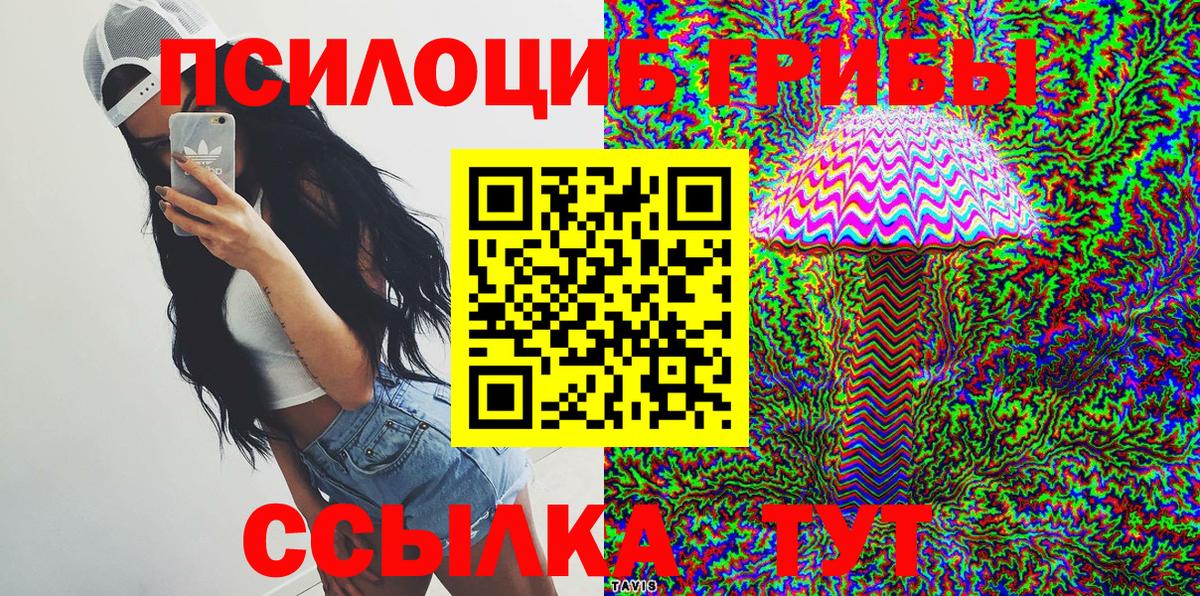 Псилоцибиновые грибы Psilocybine cubensis Беслан