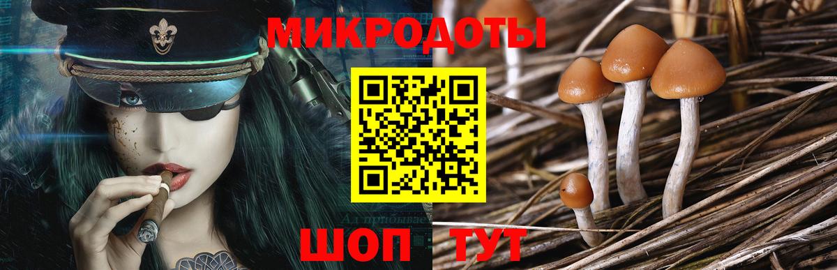 Беслан  Галлюциногенные грибы Psilocybine cubensis  купить  цена  Вход с VPN 